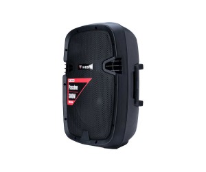 WSS-1010 - 10” Pasif Kabin Hoparlör